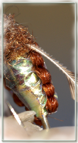 fly tying orders